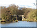 SJ6469 : Bridge over the old Weaver by Stephen Craven