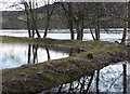 NN9552 : Flooding beside the River Tay by Russel Wills