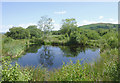 SN6862 : Pool and trees on Cors Caron in July, Ceredigion by Roger  D Kidd