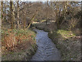 SJ8393 : Chorlton Brook by David Dixon