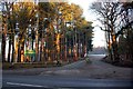 SJ5570 : Entrance to Whitefield Car Park, Delamere Forest by Jeff Buck