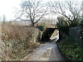 ST1889 : Northern side of a former railway bridge, Trethomas by Jaggery