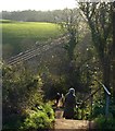 SX8957 : Steps on the coast path by Derek Harper