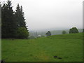 NX4564 : Looking towards Bardrochwood on a misty day by Ann Cook