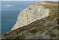 SW7252 : Headland near Trevellas Porth by Graham Horn