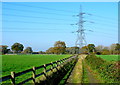 SY9598 : Powerline near Henbury farm by Nigel Mykura