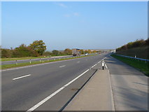  : Layby on the A35 by Nigel Mykura