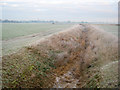 SK8062 : Drainage ditch south of Carlton by Trevor Rickard