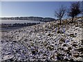 SU1470 : Tail of Fyfield Down in the snow by Vieve Forward