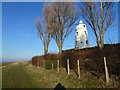 TF4925 : East bank lighthouse near Guy's Head north of Sutton Bridge by Richard Humphrey