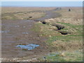 TF4926 : Destroyed salt marsh in the Wash near Sutton Bridge by Richard Humphrey