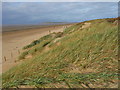 ST2953 : Berrow - Sand Dunes by Chris Talbot