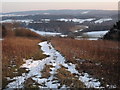 TQ0449 : Up on the Downs by Colin Smith