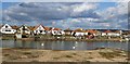 TQ1904 : Swans on Widewater Lagoon by Paul Gillett