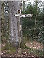 SX9383 : An ancient signpost at Exeter Lodge by David Smith