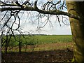 SU5178 : View towards Cheseridge Farm by Fly