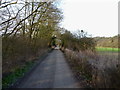 SO7296 : NCN 45 near Severn Hall by Richard Law