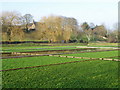 SU0225 : Watercress beds, Broad Chalke by Maigheach-gheal