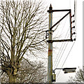 J4079 : Telegraph pole, Holywood by Albert Bridge