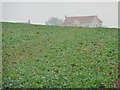 SE7462 : Crop field between High Lane and Low Lane by Christine Johnstone