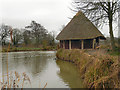 SO7104 : Slimbridge Wildfowl Reserve. by David Dixon