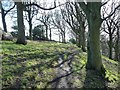 SE0124 : Path through the woods, near Windle Hill by Christine Johnstone