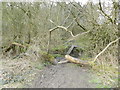 SK2935 : Muddy path, footbridge over small stream by Peter Barr