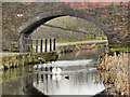 SD7908 : Manchester, Bury and Bolton Canal, Rothwell Bridge by David Dixon