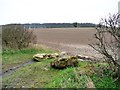 SE4629 : Blocked field entrance, Holy Rood Lane by Christine Johnstone