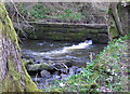 SE6795 : Weir on the River Dove by Pauline E