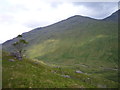 NN2309 : Rowan tree growing out of a boulder near the foot of Binnein an Fhìdhleir by Alan O'Dowd