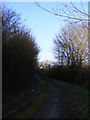 TM3765 : Kelsale Road, Curlew Green by Geographer