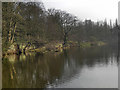 SJ6886 : Lymm Dam by David Dixon