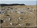 SD5480 : Limestone grassland near Newbiggin Crags by M J Richardson