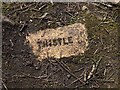 NY7765 : 'Thistle' brick, former waggonway near Barcombe Colliery by Andrew Curtis