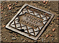 C8532 : "Crawford" access cover, Coleraine (1) by Albert Bridge