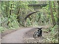 SE3948 : Anonymous bridge over the Harland Way by Christine Johnstone