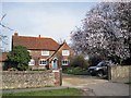 SP7501 : Spring flowers in Chinnor by Richard Dorrell