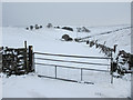 SD8074 : Track to Fawber in the snow by John S Turner