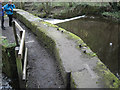 SK3189 : Massive masonry flanking a weir, Wisewood by Robin Stott