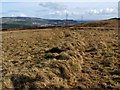 NS3778 : Old boundary on Carman Muir by Lairich Rig