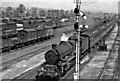 SP4641 : Birkenhead - Margate/Eastbourne express approaching Banbury by Ben Brooksbank