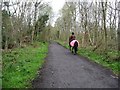 NZ1556 : Horse and rider on the Derwent Walk by Christine Johnstone