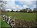 NZ2048 : Gate into pasture field by Christine Johnstone