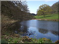 ST7734 : Lily Pond, Stourhead by Colin Smith