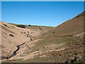 SN7453 : Valley of Doethie Fawr by Trevor Littlewood