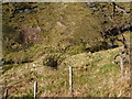 NS3382 : Remains of lime-kiln beside the Red Burn by Lairich Rig