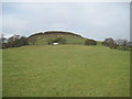 SE6698 : Potter's  Nab   Farndale by Martin Dawes