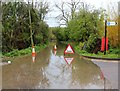 SO8440 : New Street flooded by Bob Embleton