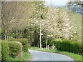 SE2216 : Footpath sign, Briestfield Road by Christine Johnstone